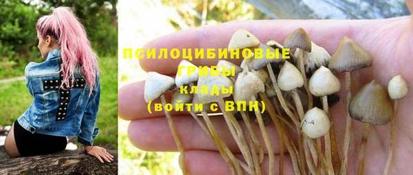 PSILOCYBIN Надым