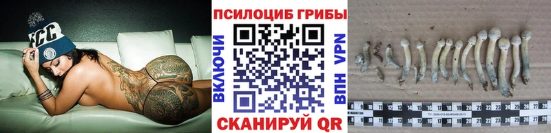 Галлюциногенные грибы Magic Shrooms  купить  сайты  Кувшиново 