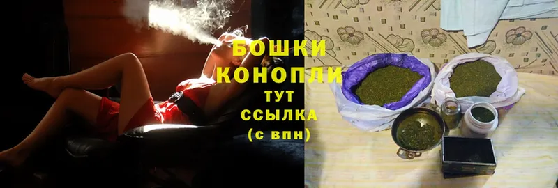 Бошки Шишки марихуана  Кувшиново 